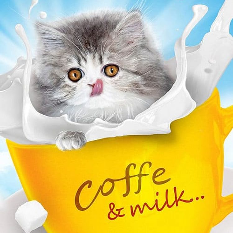 Persona Corporate Identity